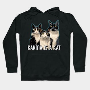 Karma is a Cat Hoodie